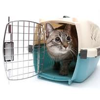 cat carrier cat carrier